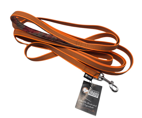 Langlaufleine Orange/Herbstbäume