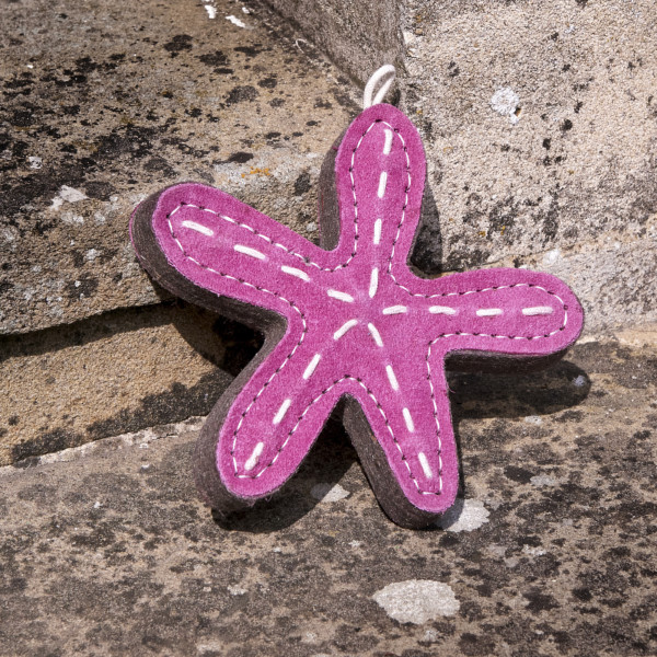 Stanley der Seestern