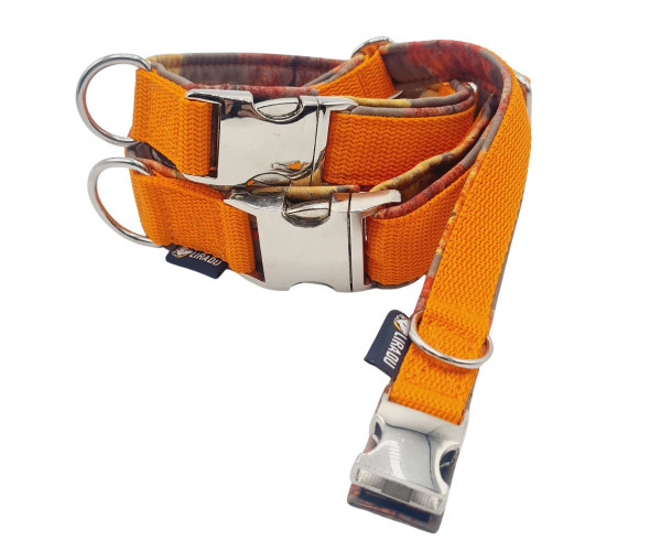 Klickhalsband Orange/Herbstbäume