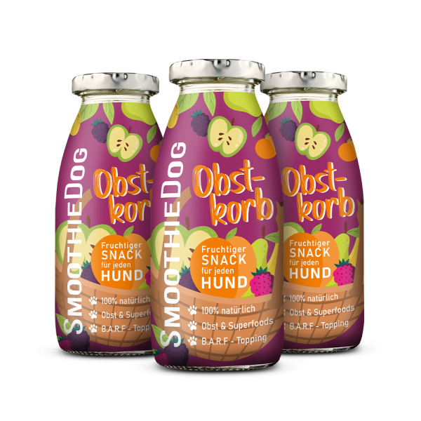 Smoothie Obstkorb 250ml