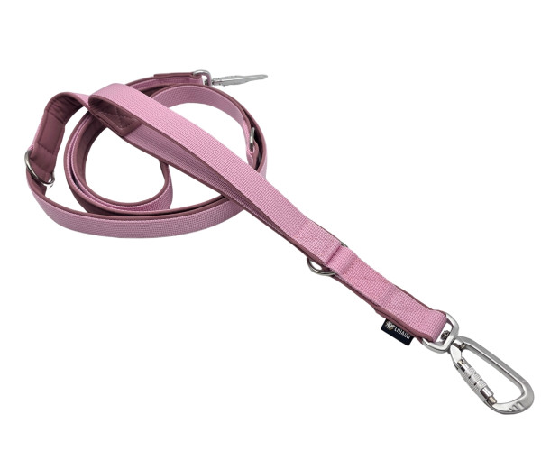Führleine "Safety" mit Kurzführer Rose