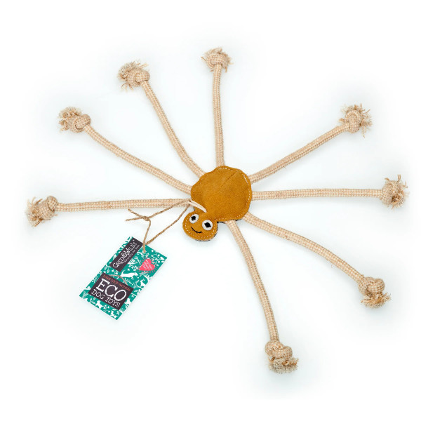 Lily Longlegs
