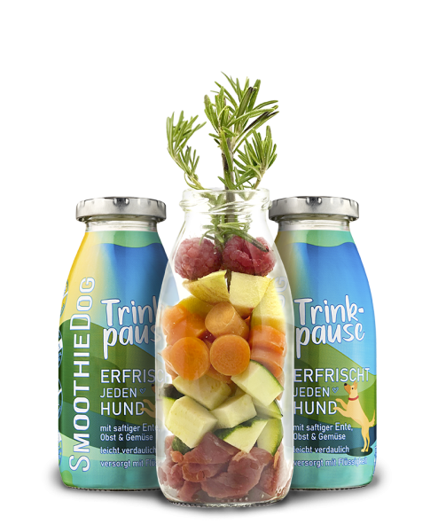 Smoothie Trinkpause Ente 250ml